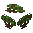 Cherry Sapling