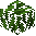 Coconut Tree Leaves