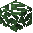 Juniper Tree Leaves