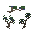 Juniper Tree Sapling