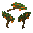 Orange Tree Sapling