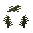 Pine Tree Sapling