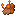 Fungus Flesh