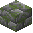 Forest Mossy Stone Bricks Block