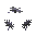 Dead Flower