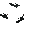 Big Dimensional Backpack\nBlack