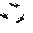Dimensional Backpack\nBlack