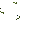 Huge Dimensional Backpack\nGreen