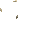 Paper 1