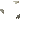 PC Monitor