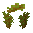 Acacia Sapling