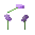 Allium