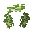 Birch Sapling
