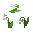 Lily Of The Valley