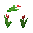 Red Tulip