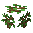 Sapling