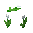 White Tulip